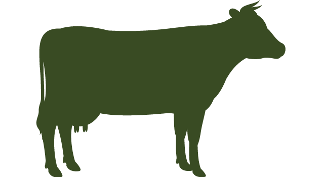 Silhouette image of a cow